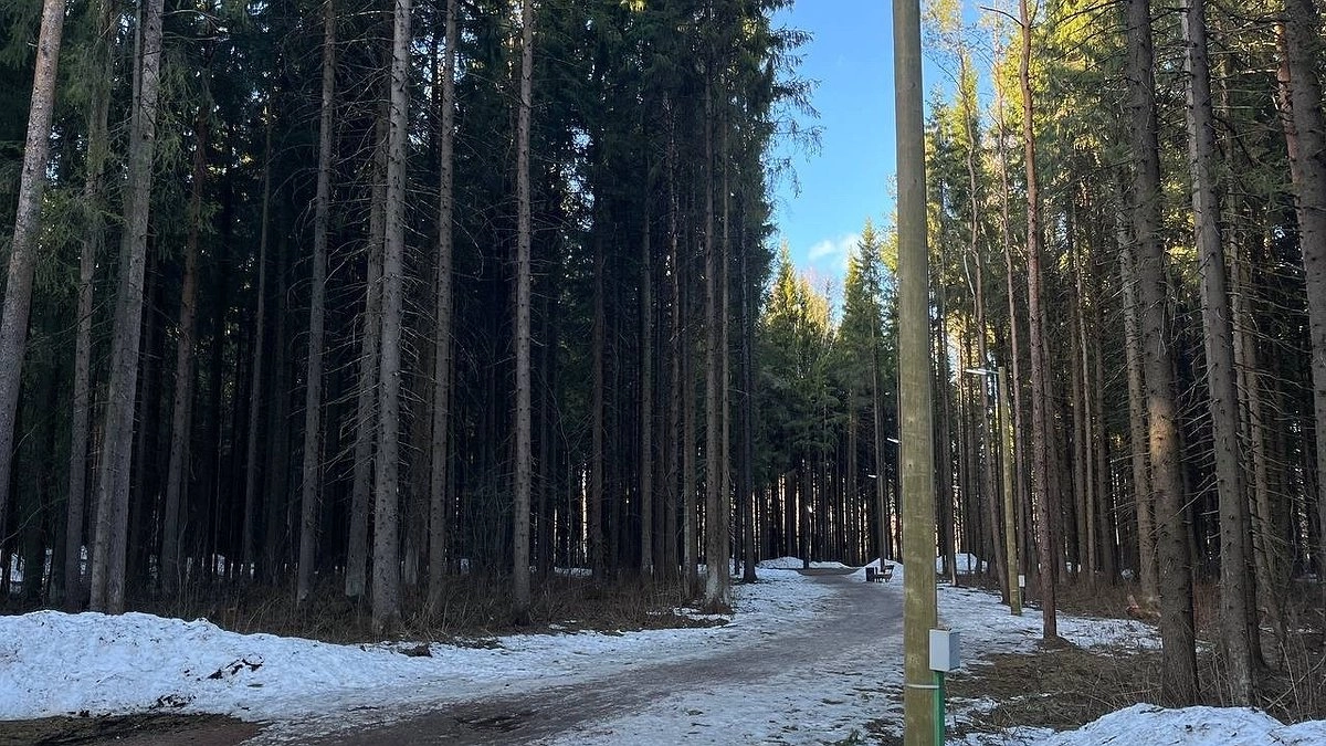 Главная картинка новости: Погодный калейдоскоп в Коми: север пригреет, на юге слегка похолодает