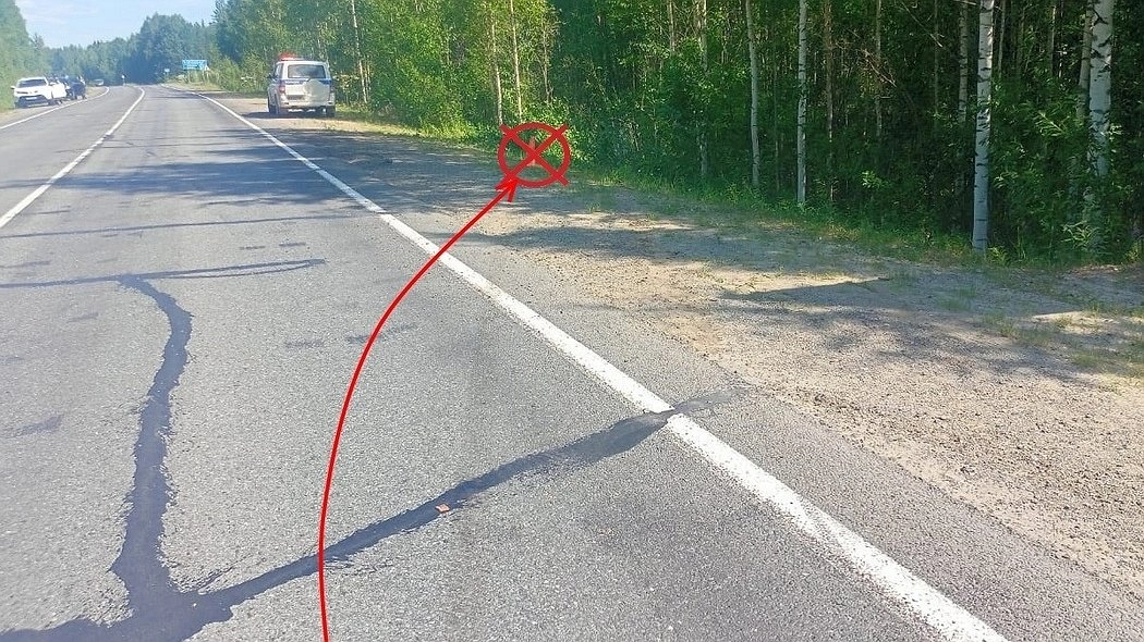 Два автомобиля съехали в кювет на трассах Коми