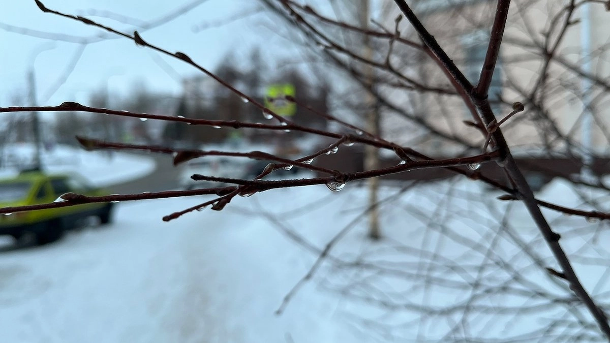 Главная картинка новости: Конец аномально теплой зимы: погода в Коми 1 февраля