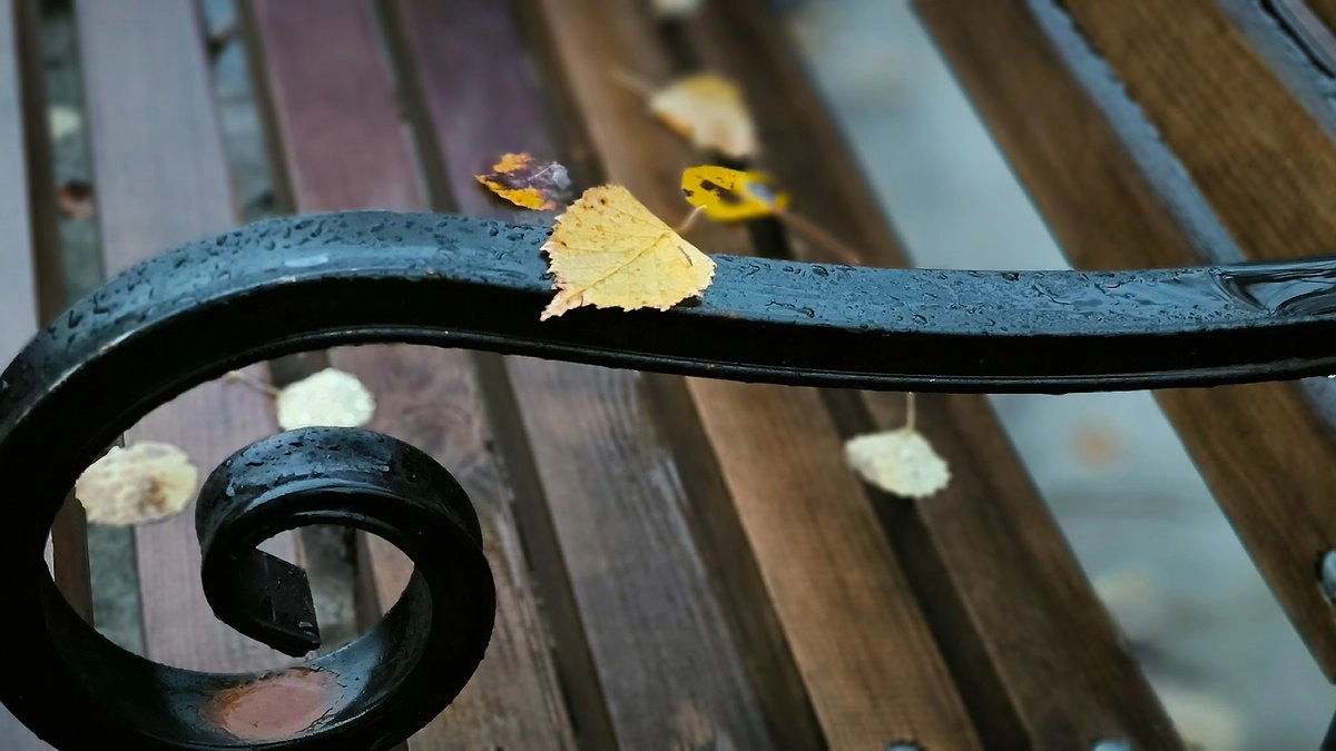 Жителей Коми 12 октября ожидают осадки и порывистый ветер