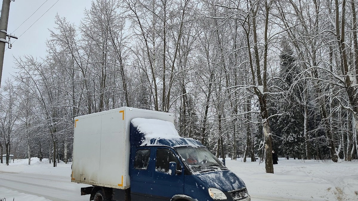 Главная картинка новости: Усинск встречает неделю неприветливым холодом: прогноз на 28 апреля