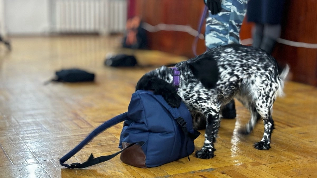 Главная картинка новости: 600 граммов изъятых наркотиков: в Коми завершился первый этап операции "Чистое поколение"