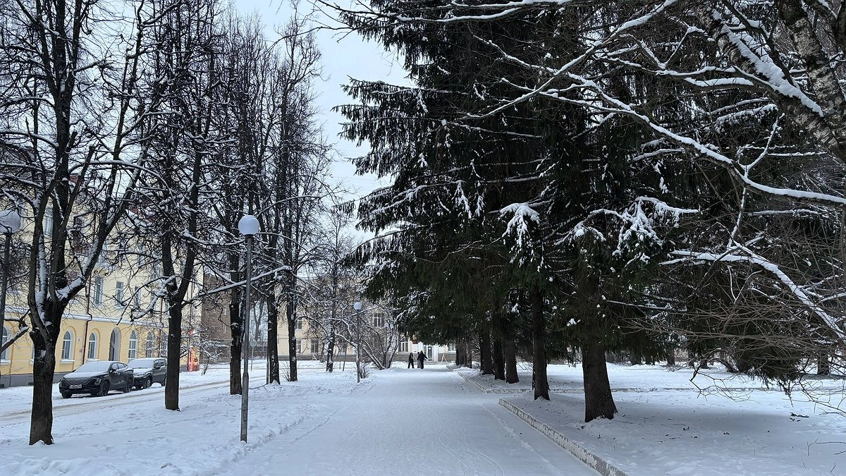 Главная картинка новости: «Начнется 15 декабря и продлится две недели подряд». Синоптики представили неожиданный прогноз