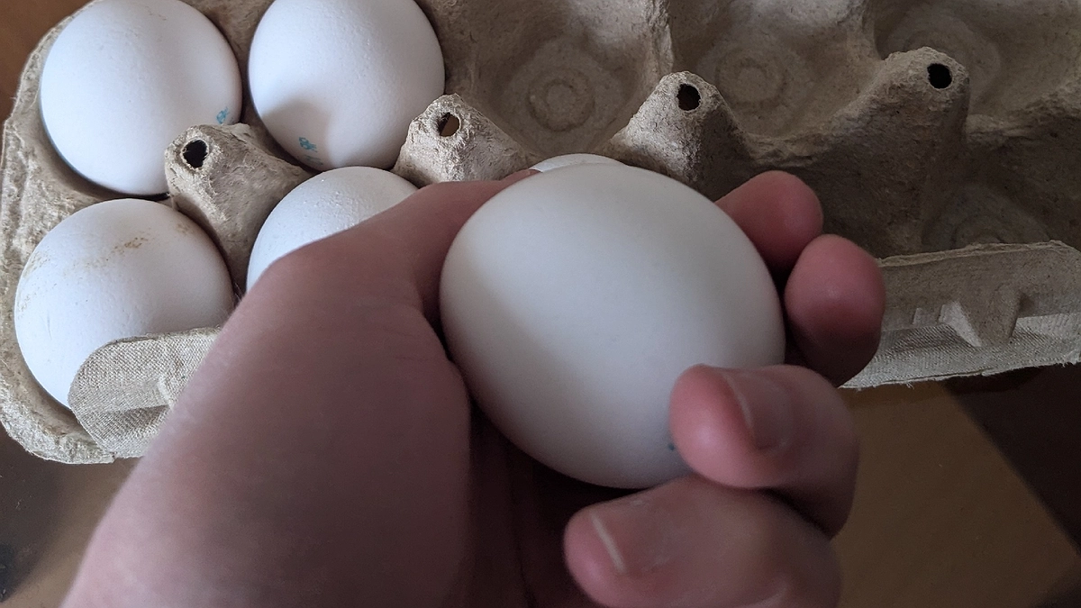 Главная картинка новости: Яичницу на сковородке больше не жарю — беру обычную кружку: получается в 2 раза вкуснее