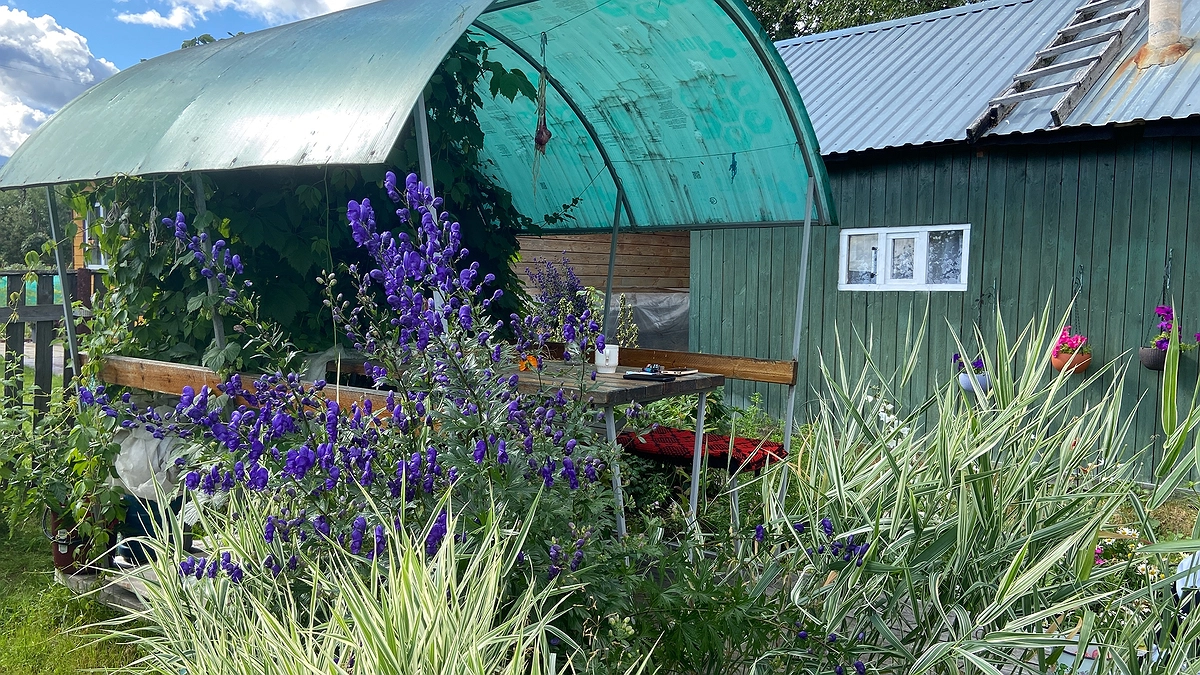 Главная картинка новости: Зачем мучиться с сотовым поликарбонатом на навесах и крыльце: ведь есть его старший брат и он лучше во всём