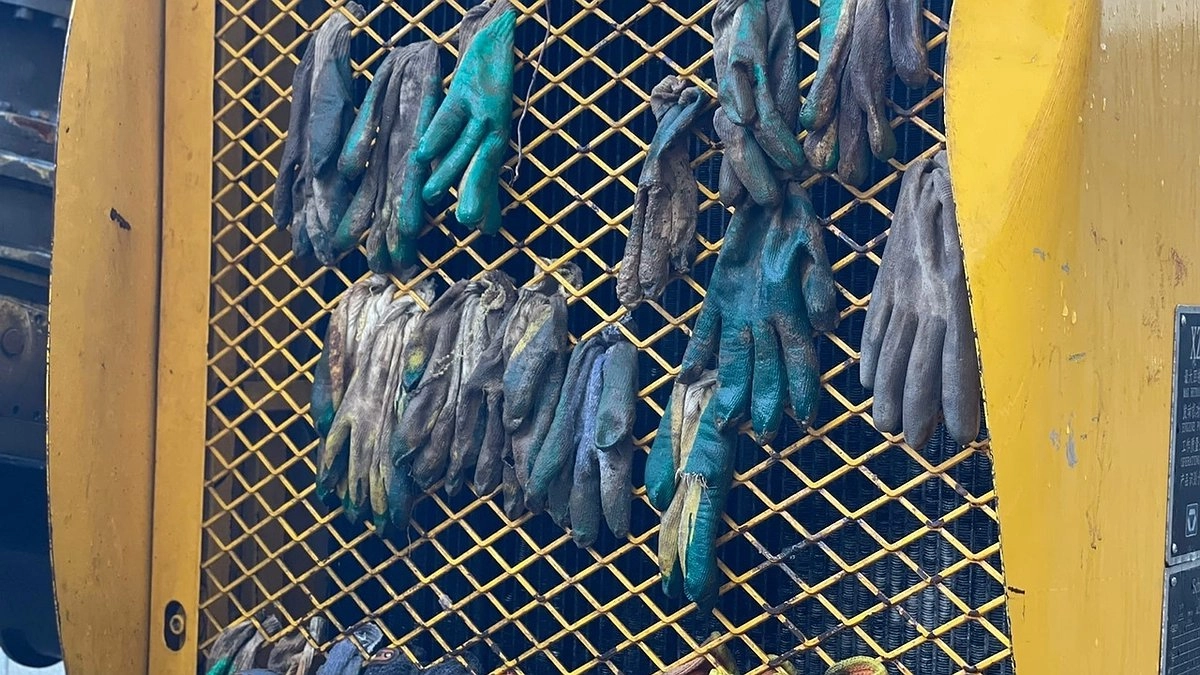 Главная картинка новости: Трагедия в Усинске: сотрудник найден мёртвым в общежитии компании «ЕСК»