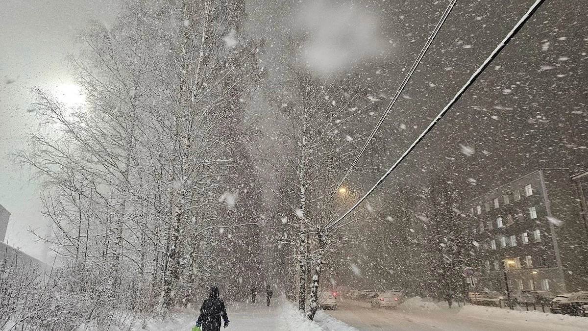 Главная картинка новости: На севере Коми объявлено штормовое предупреждение