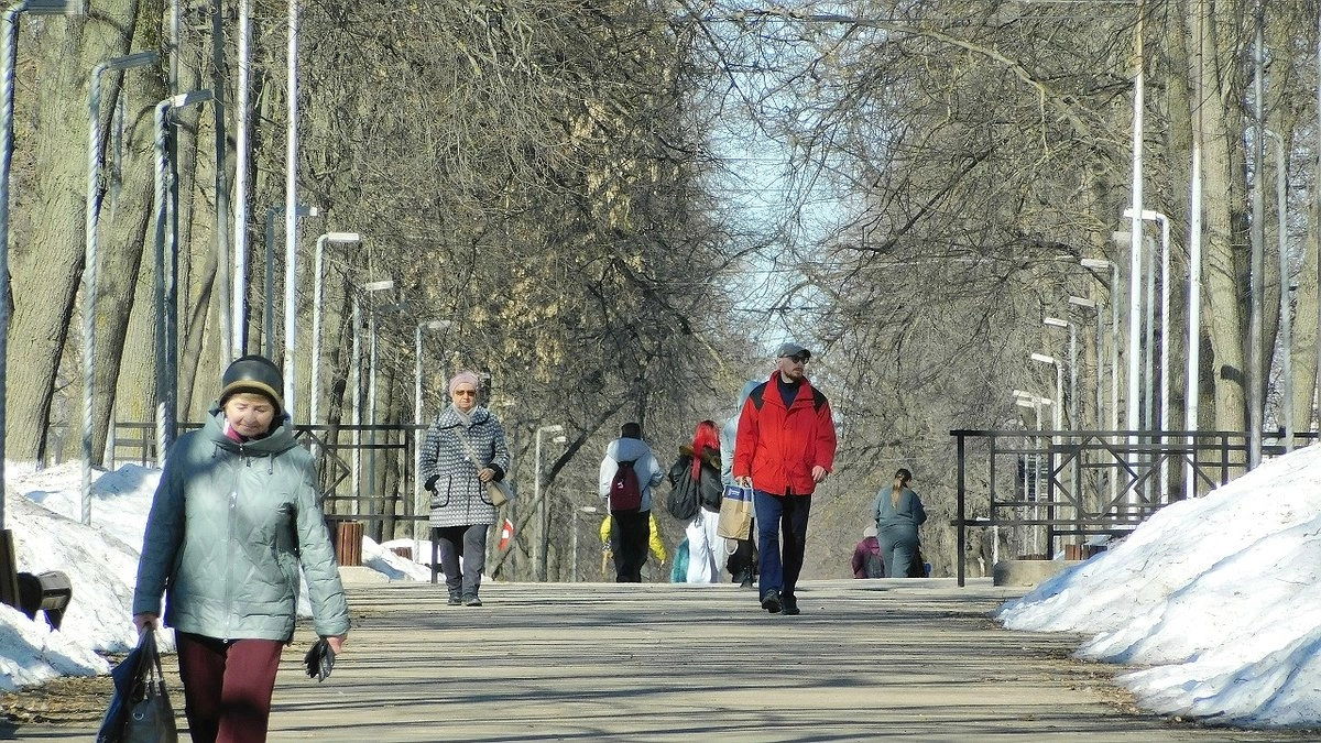 Погода в Коми 31 марта будет тёплой с осадками ночью