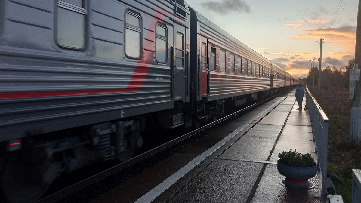 Главная картинка новости: Ни паспорт, ни билет не нужны: РЖД вводят новые правила для каждого из России — вот, как теперь будут ездить пассажиры