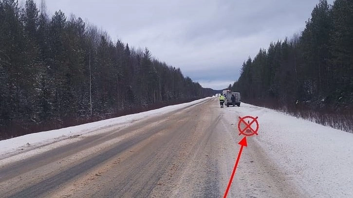 На трассе «Вятка» иномарка съехала в кювет: пострадали два пассажира