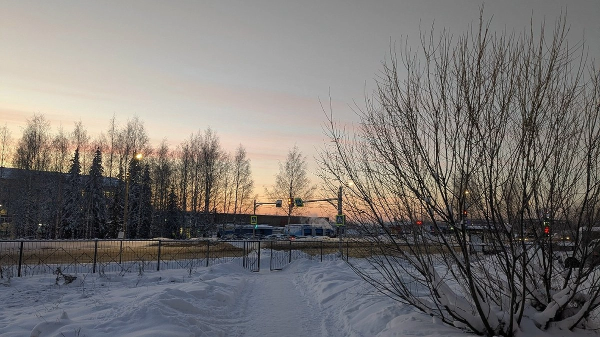 Главная картинка новости: 23 января в Коми ожидается небольшой снег и морозная погода