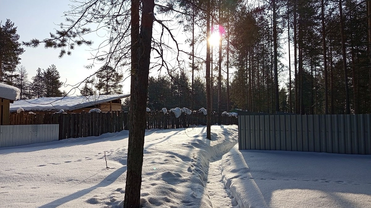 Главная картинка новости: Ясное солнце сменит вчерашний дождь: погода в Коми 30 марта