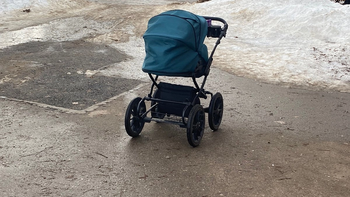 Главная картинка новости: Мечта о коляске обернулась кошмаром: жительница Коми стала жертвой онлайн-мошенника