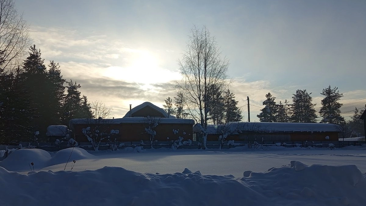 Главная картинка новости: В Коми 23 февраля ожидаются снег, метель и порывистый ветер