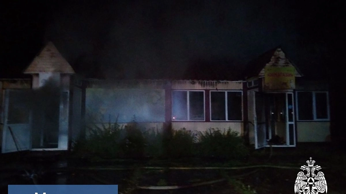 Главная картинка новости: В Коми за сутки горели магазин, дачный дом и заброшенное здание