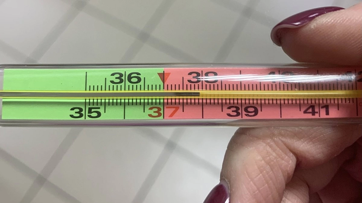 Главная картинка новости: Жительница Коми возместит убытки за повреждение ртутного градусника на борту самолета