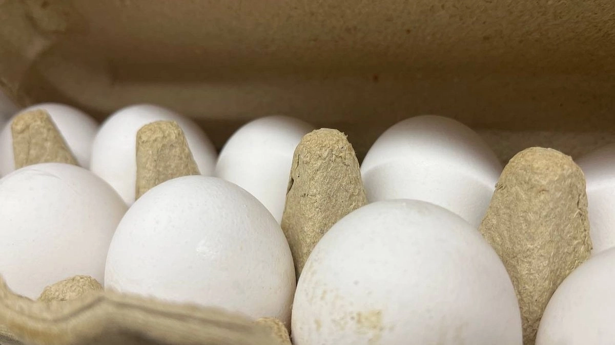 Главная картинка новости: Яйца дешевеют, морковь дорожает: Комистат рассказал о колебаниях цен в начале июня