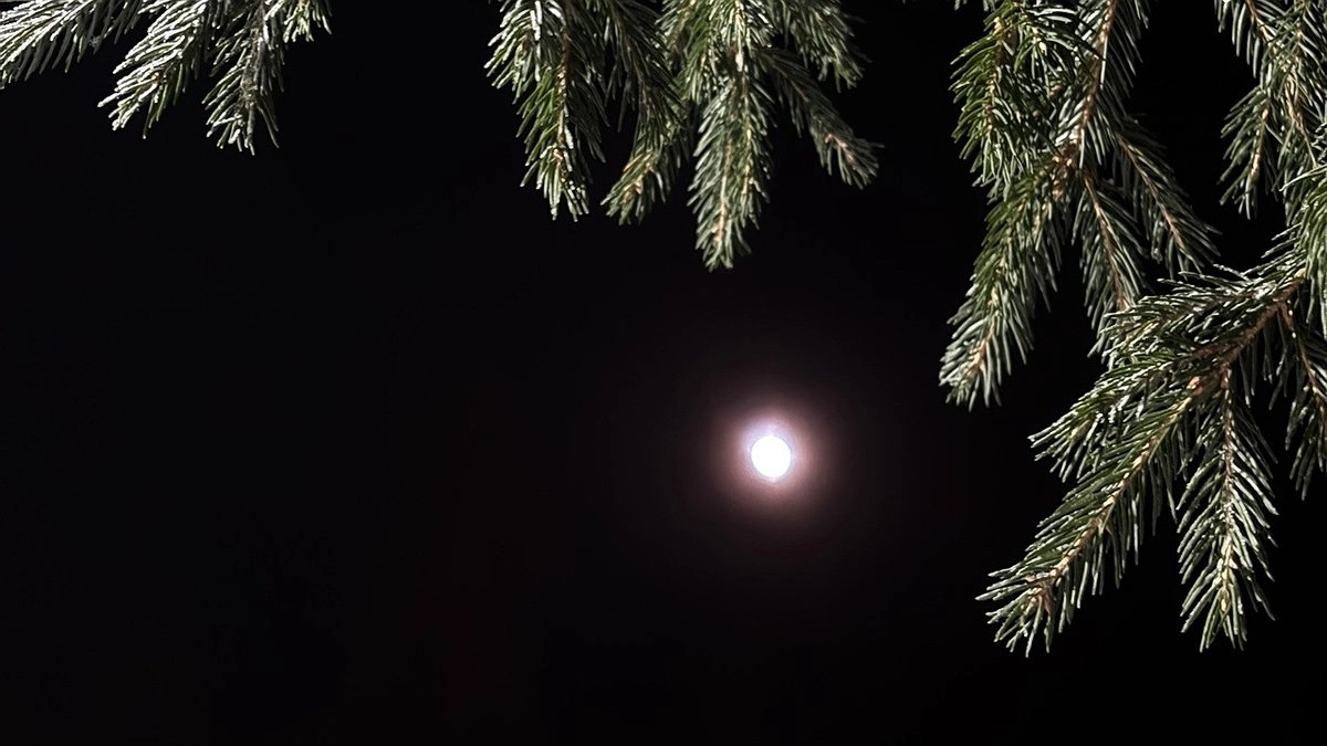 2 февраля в Коми усилятся морозы и восточные порывы