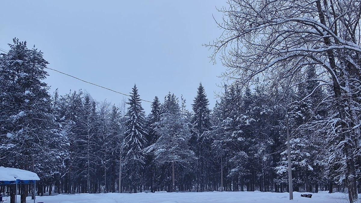 «Поступили новые данные». Синоптики внезапно изменили прогноз на февраль
