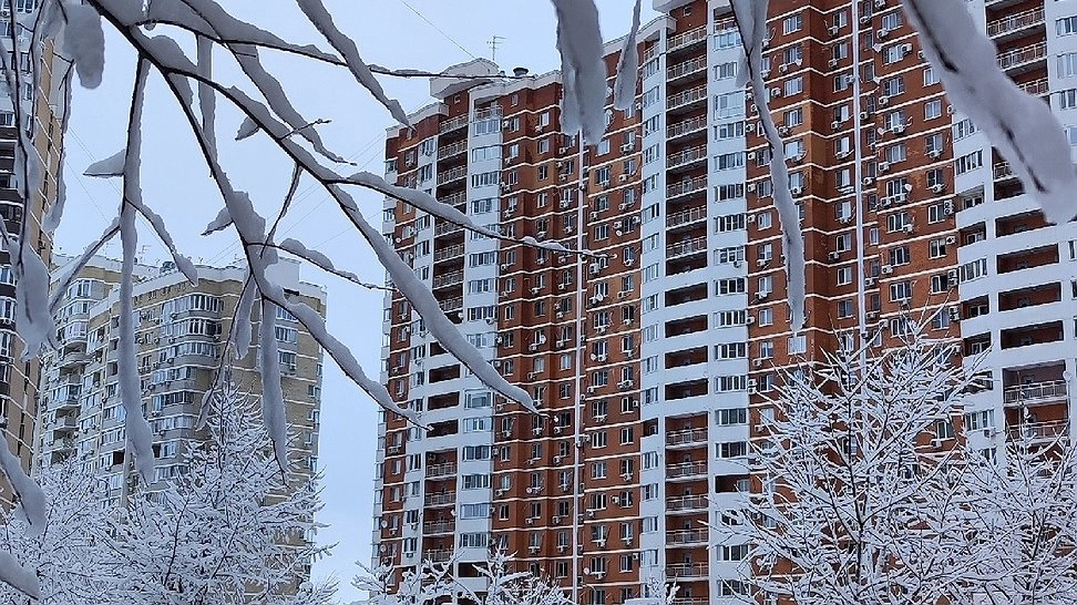 Главная картинка новости: С 16 декабря начнут лишать прав за прогрев двигателя: ГИБДД поедет по дворам