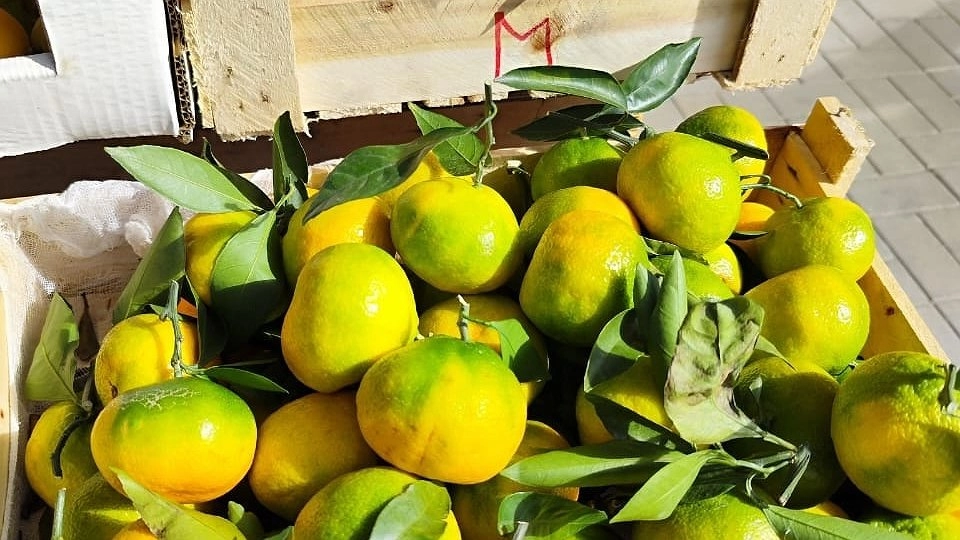 Главная картинка новости: Гонялись за ними с ноября: 6 дефицитных товаров на Новый год в СССР - сейчас это скупают