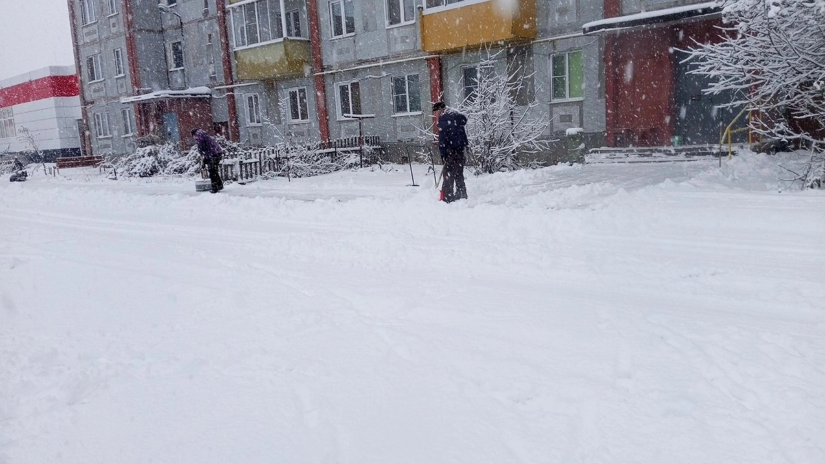 Главная картинка новости: В Коми дворника осудили за смертельное избиение мусорящего из окна жильца