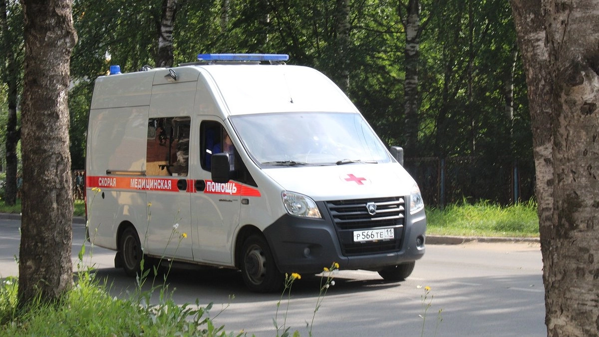 Главная картинка новости: В Коми водитель-беглец оставил погибшего пешехода на обочине