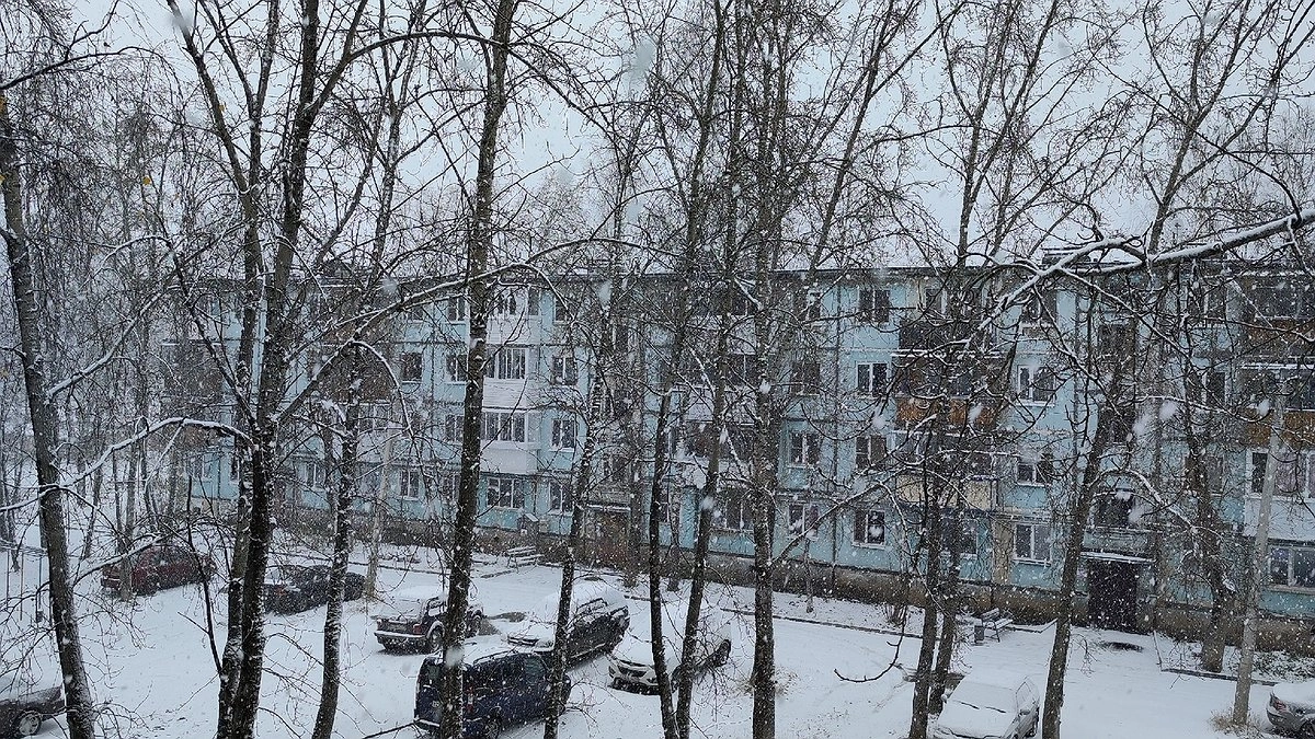 Главная картинка новости: «Январь будет самым аномальным». Синоптики дали свежий прогноз на середину зимы