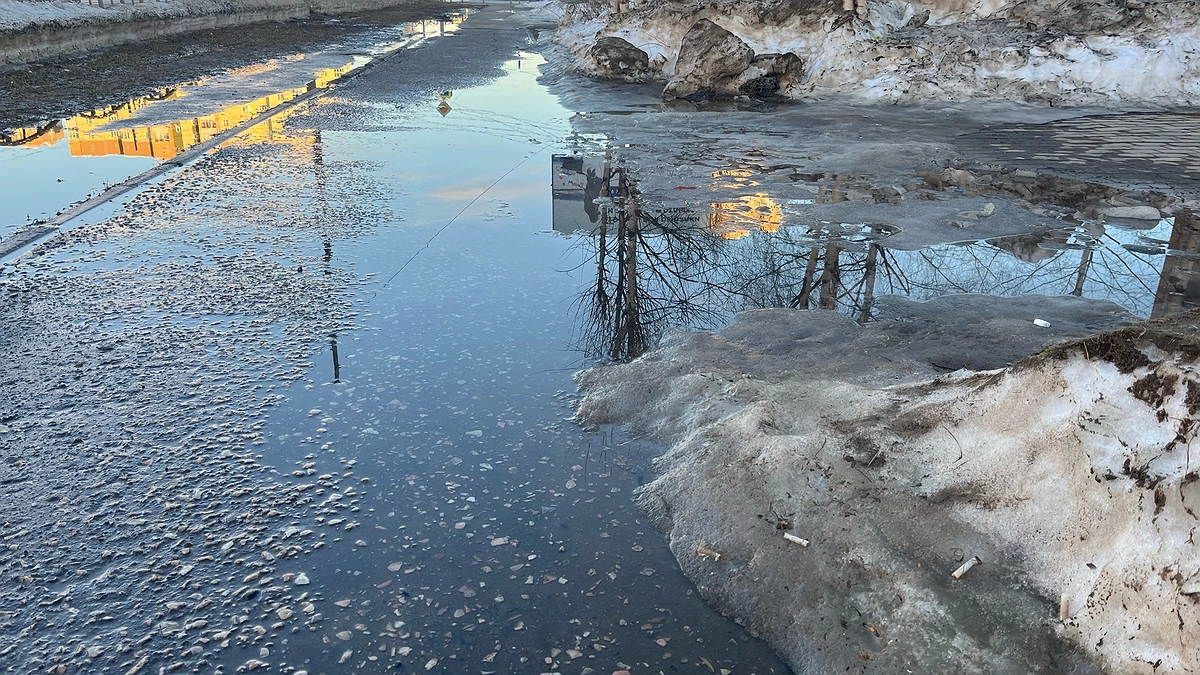 Куртки не убирайте уже скоро они понадобятся: Вильфанд рассказал о резком похолодании почти на 25 градусов