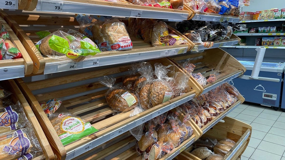 Главная картинка новости: Ученые поставили жирную точку: можно ли хранить хлеб в холодильнике - запомните раз и на всю жизнь