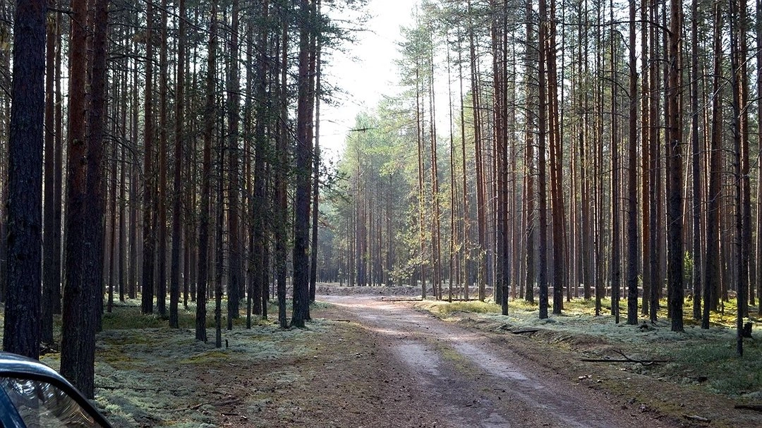 Авиалесоохрана предупреждает о повышенной пожарной опасности в Коми