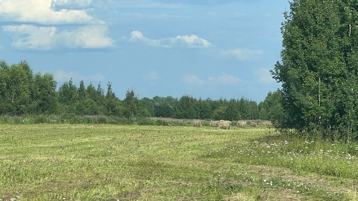Главная картинка новости: Усинцам предложили оформить землю в северной части Коми