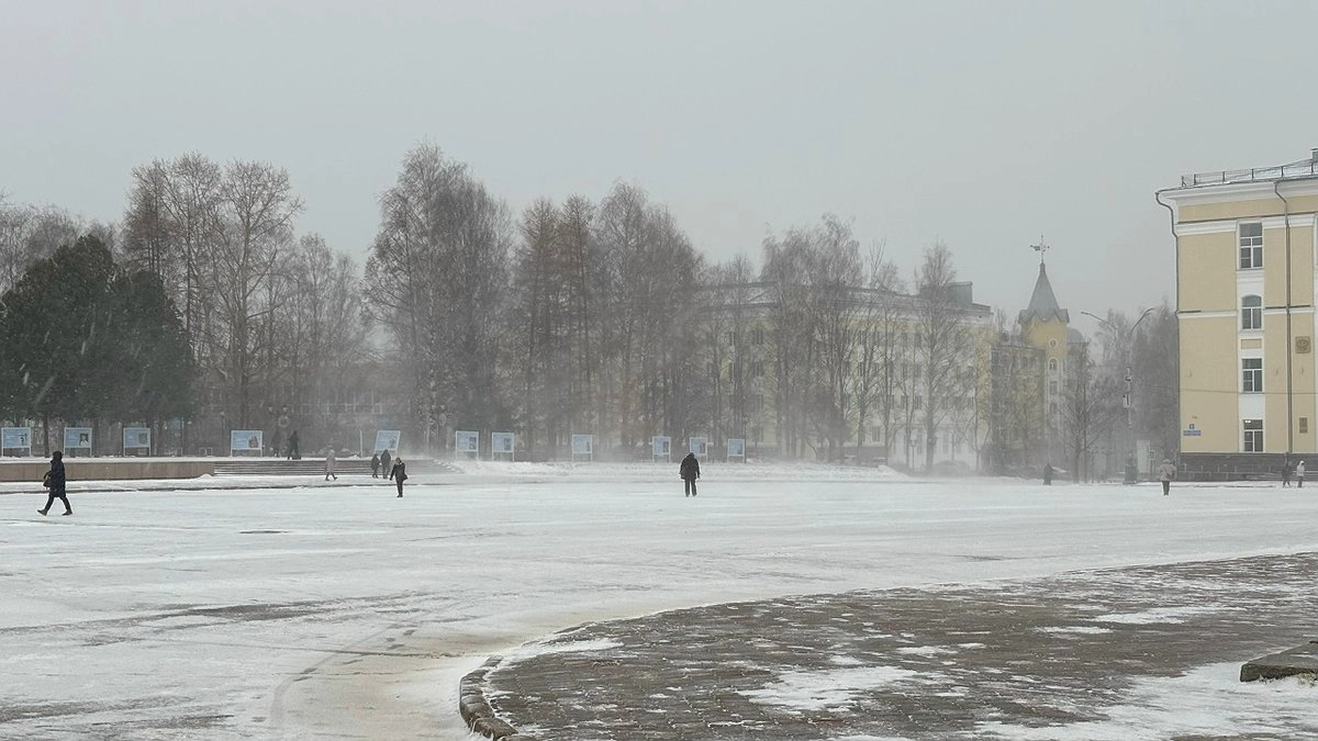 Главная картинка новости: В Коми 20 ноября ожидается снег и порывистый ветер