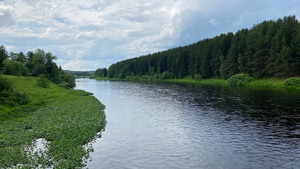 Главная картинка новости: В Коми 23 июля ожидается тёплая погода, на севере пройдут кратковременные дожди