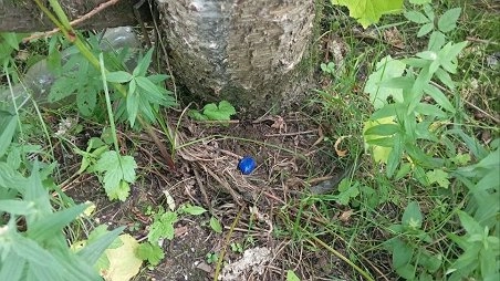 В Коми задержали подозреваемого в распространении крупной партии запрещённых веществ