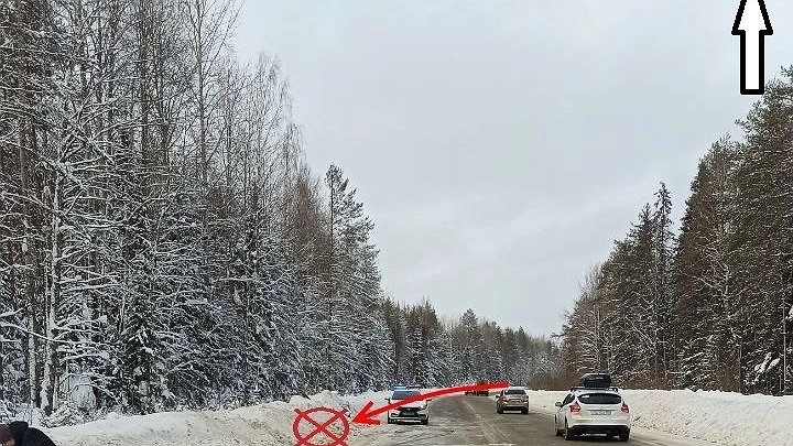 Серьезное ДТП в Коми: водитель и пассажирка чудом избежали тяжелых травм