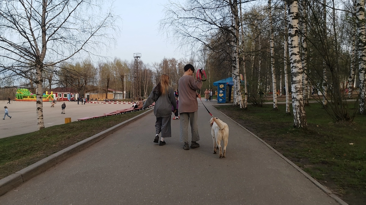 Покажут пальцем и засмеют: в этом слове нет буквы «З», но каждый второй ее упорно вставляет