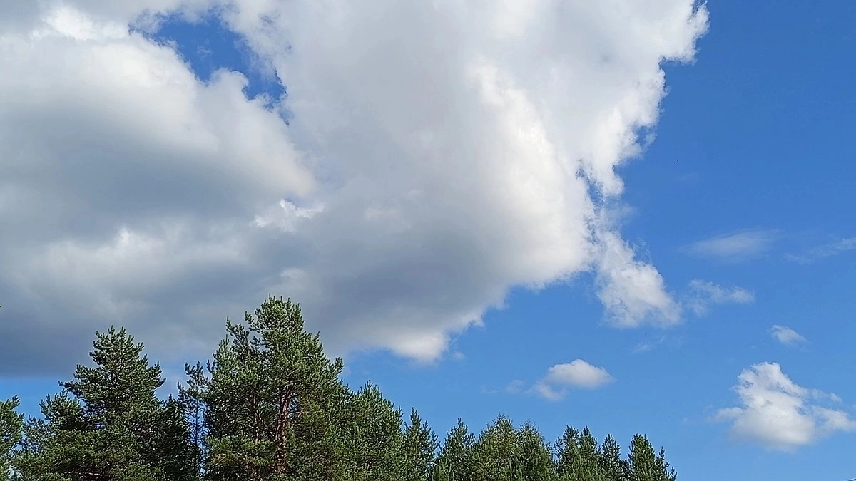 Главная картинка новости: Юг накроют дожди, а на севере будет солнечно: погода в Коми 24 августа