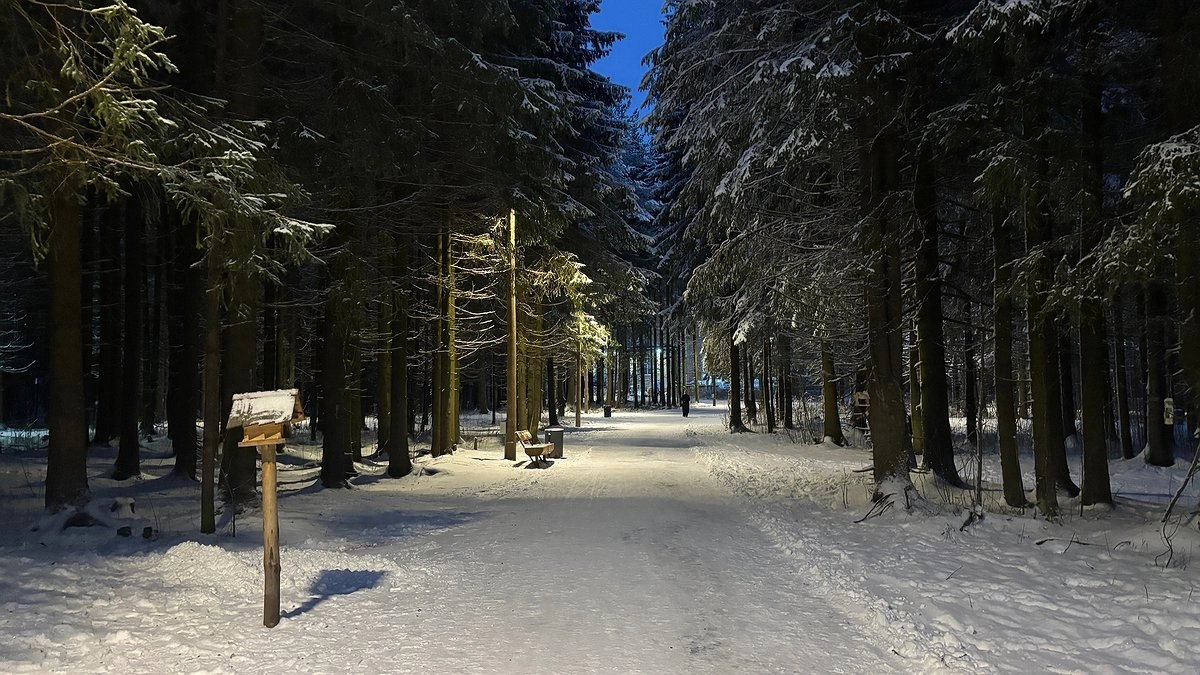 Главная картинка новости: Крепкие морозы и небольшой снег ожидают жителей Коми 14 декабря