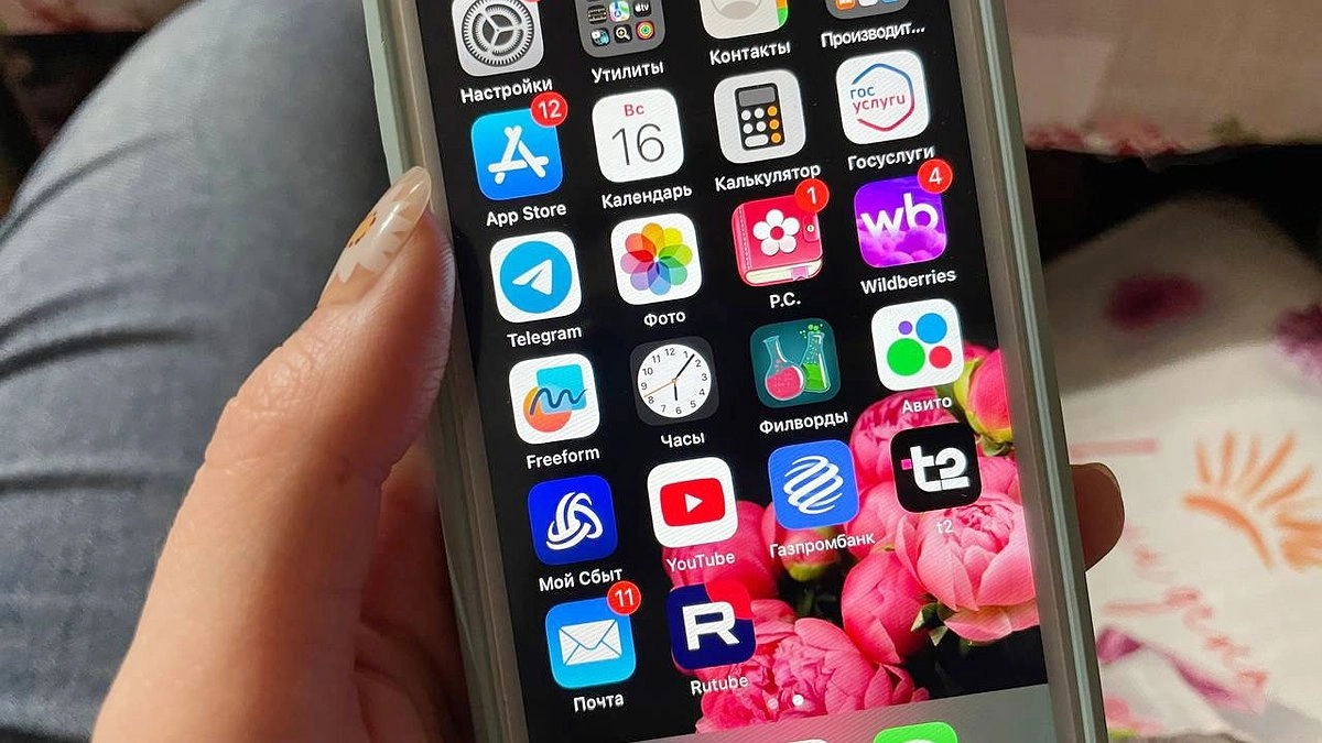 Главная картинка новости: В Коми потерпевший сам выкупил из ломбарда похищенный у него смартфон