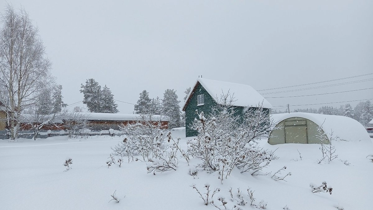Главная картинка новости: В Коми ожидается резкое похолодание 27 ноября