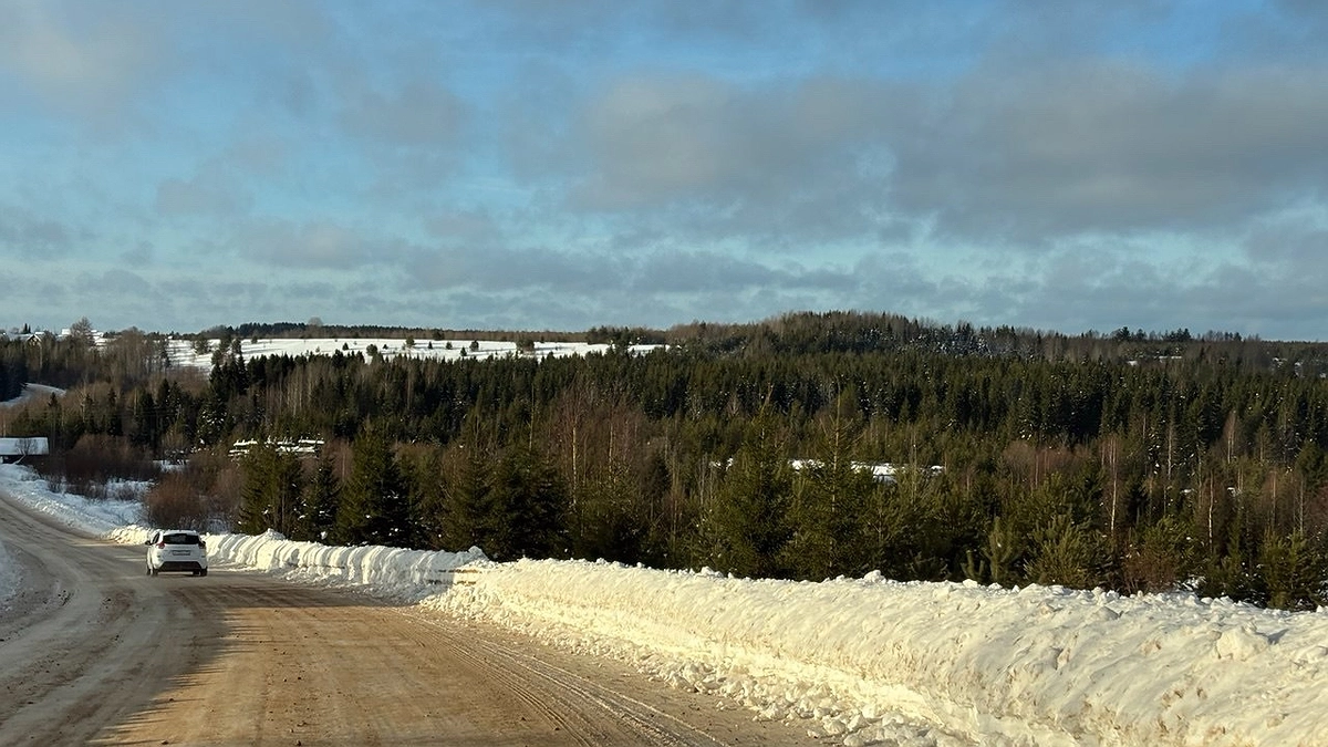 Каким будет лето 2025 года после аномально жаркой зимы: синоптики сообщили, к чему стоит готовиться россиянам