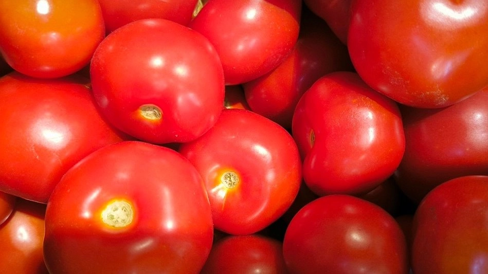 Главная картинка новости: В Коми за неделю подорожали проезд и помидоры, а свекла и электропылесосы стали дешевле