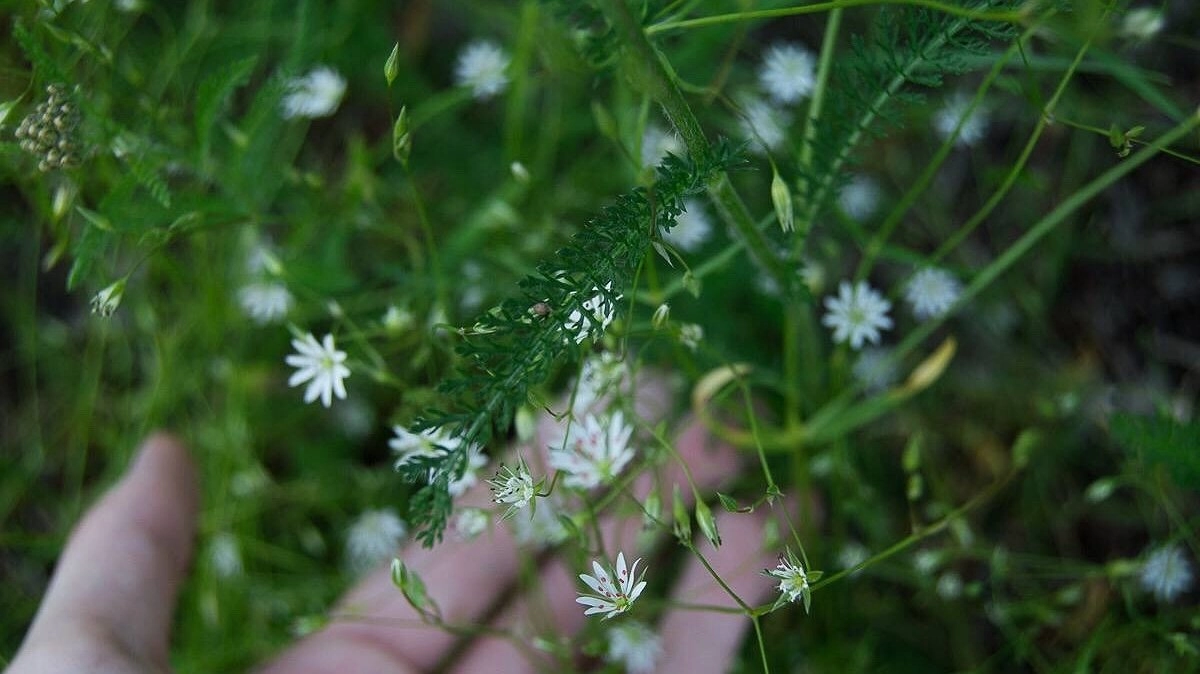 Усинск встречает последний майский четверг ясным небом