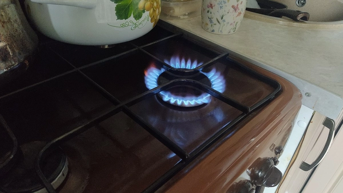Главная картинка новости: Указ вступил в силу: с 1 января штраф 1500 рублей выпишут всем собственникам квартир с газовой плитой