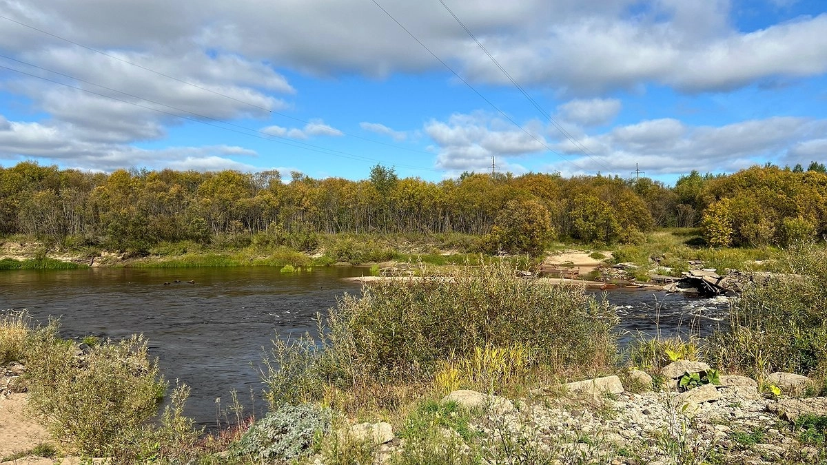Главная картинка новости: Коми запускает комплекс мер по охране рек