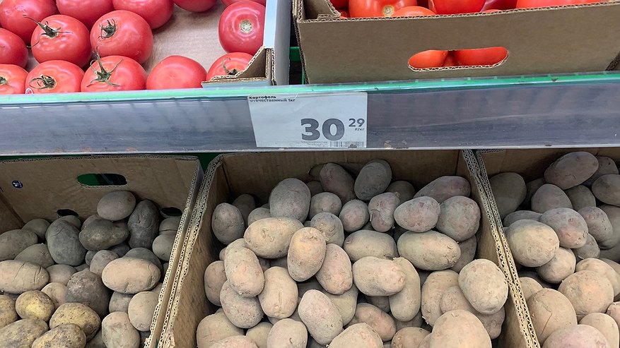 Главная картинка новости: В Коми в 2024 году меньше собрали картофеля и овощей