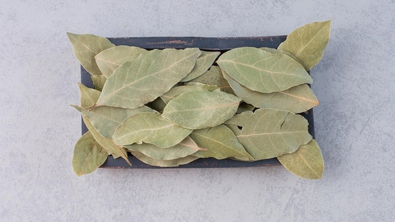 Главная картинка новости: Лавровый лист всегда держу в кошельке - и всем советую: удивительно, но это работает