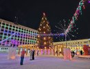 Сколько будет стоить срубить елку в Коми?