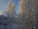 Тепло до марта и минус 40 по всей стране: синоптики обещают аномальную зиму 2024-2025